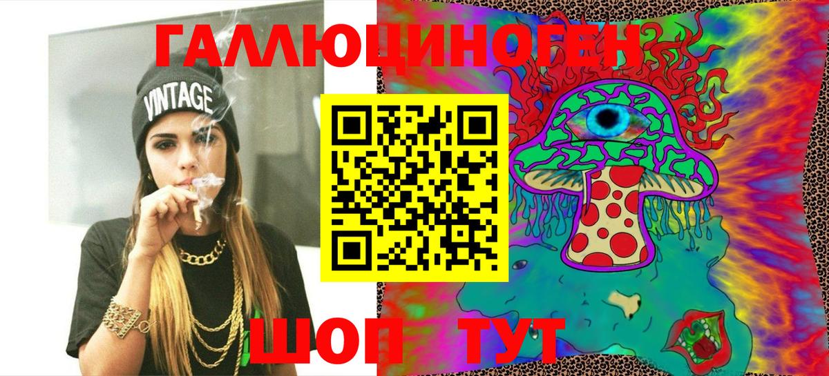 Псилоцибиновые грибы Cubensis Новокубанск