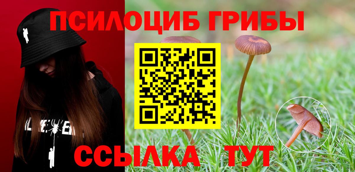 Псилоцибиновые грибы Psilocybe  Вход с VPN  как найти наркотики  Галлюциногенные грибы MAGIC MUSHROOMS  Новокубанск 