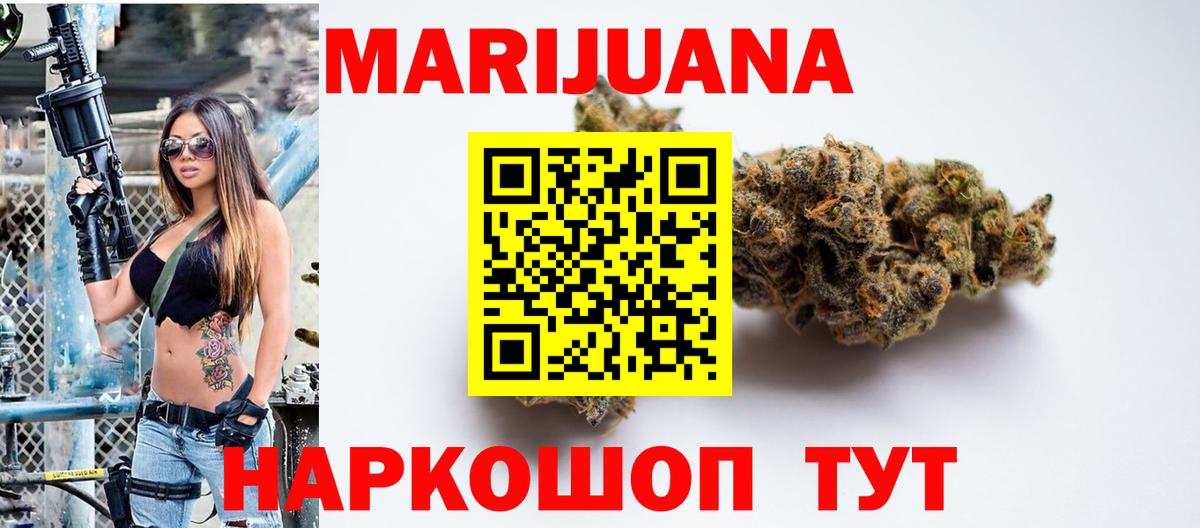 Конопля сатива Новокубанск